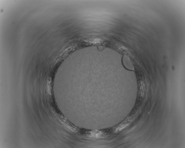 X0000064770612200602171826