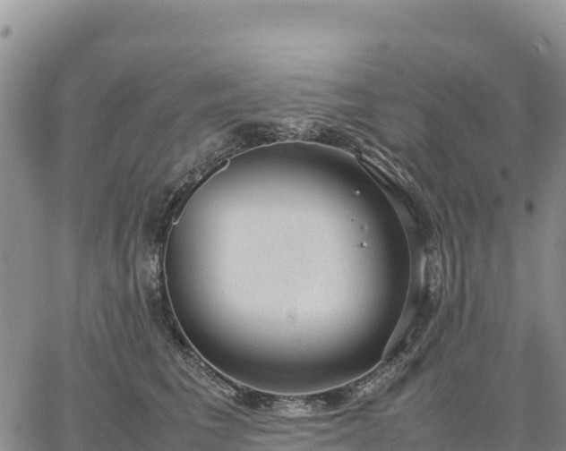 X0000064770613200602171826