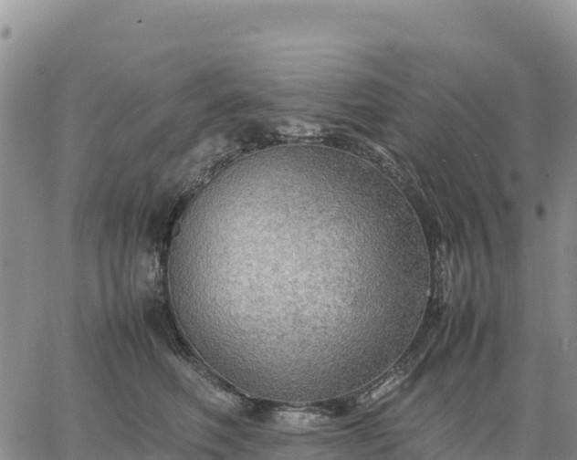 X0000064770614200602171826