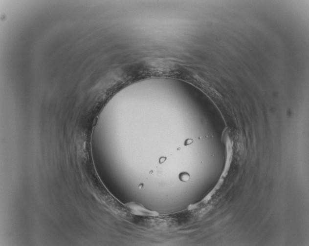 X0000064770615200602171826