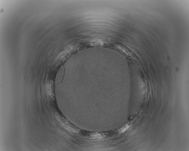 X0000064770616200602171826