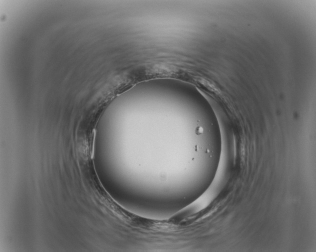 X0000064770617200602171826