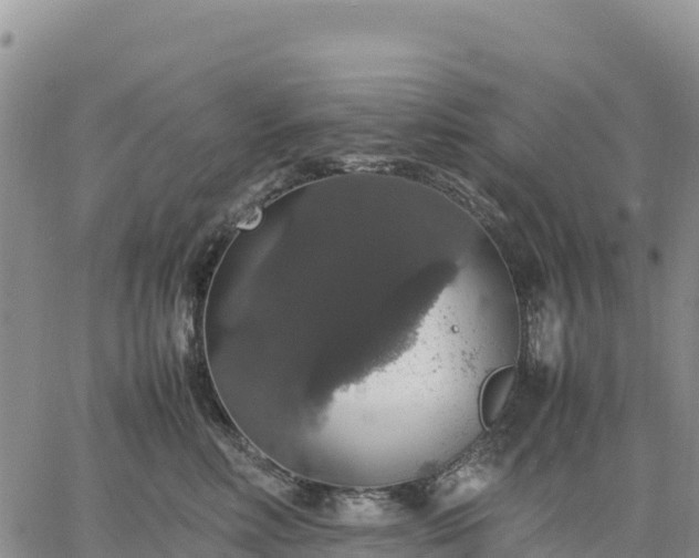 X0000064770618200602171826