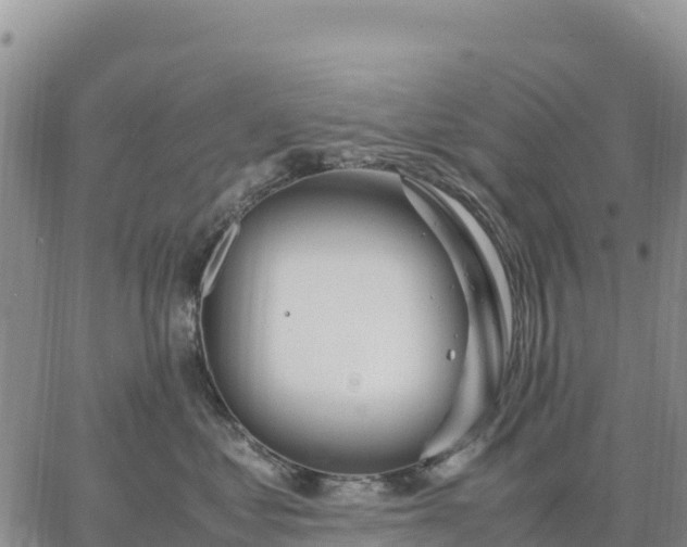 X0000064770621200602171826