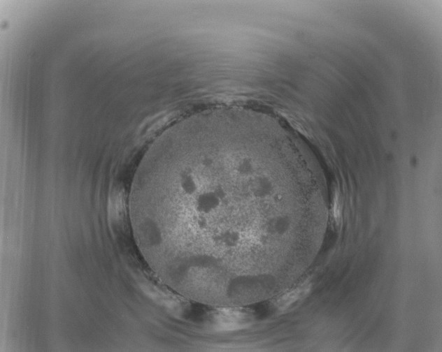 X0000064770623200602171826