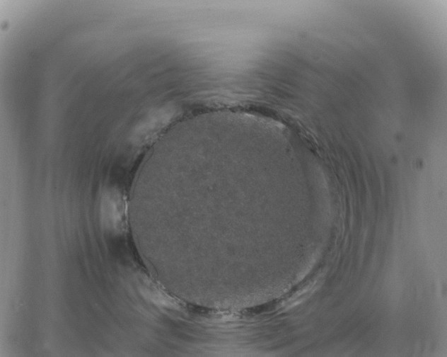 X0000064770624200602171826