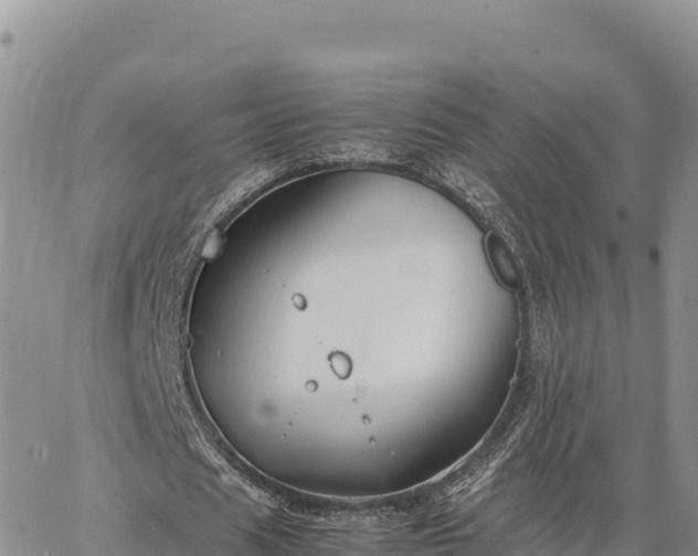 X0000064770625200602171825