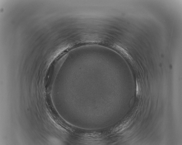 X0000064770627200602171825