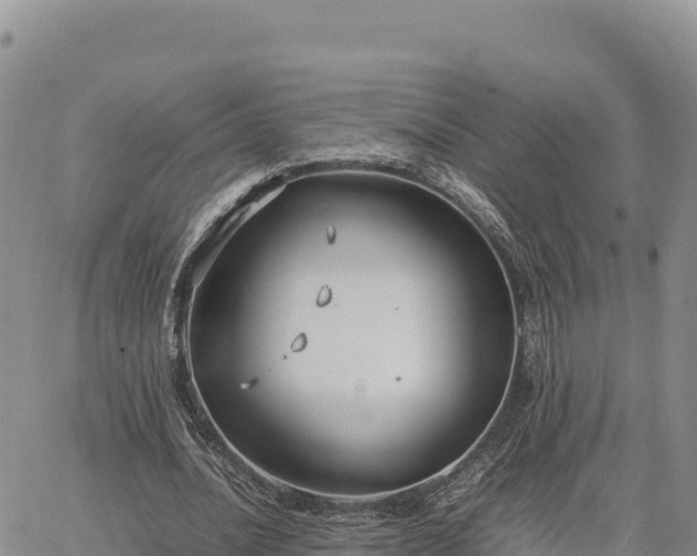 X0000064770628200602171825