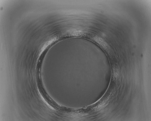 X0000064770630200602171825