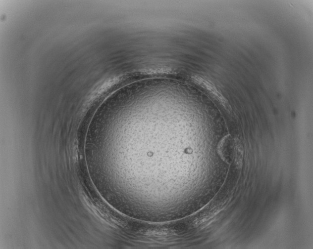 X0000064770631200602171825