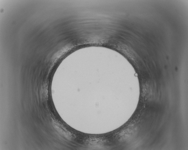 X0000064770632200602171825