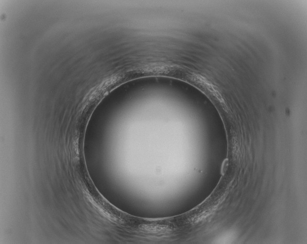 X0000064770633200602171825