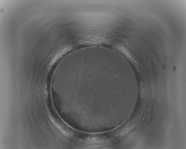 X0000064770634200602171825