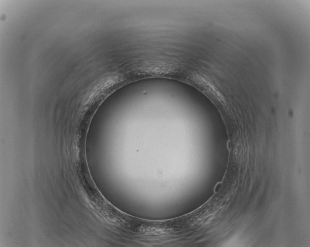 X0000064770635200602171825