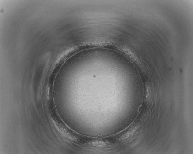 X0000064770636200602171825