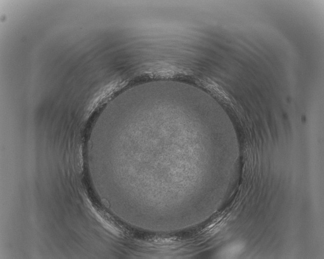 X0000064770638200602171825