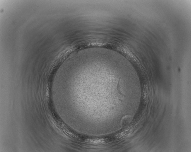 X0000064770639200602171825