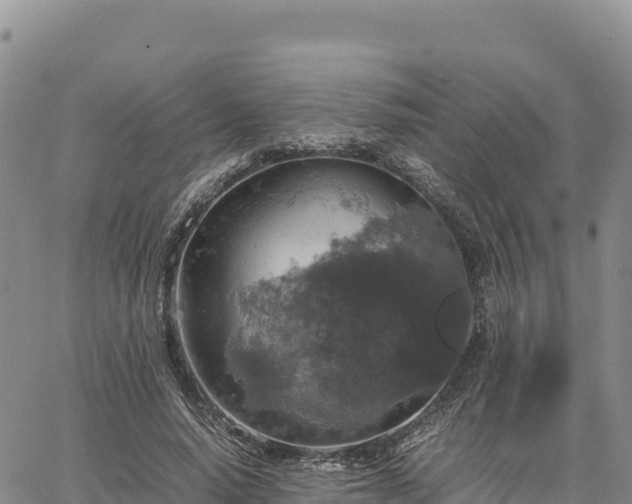 X0000064770640200602171825