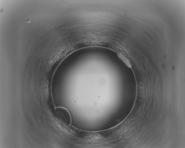 X0000064770642200602171825