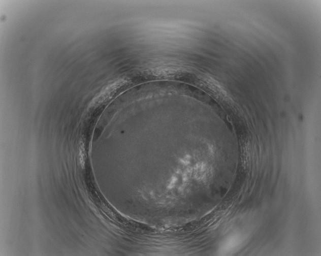 X0000064770644200602171826