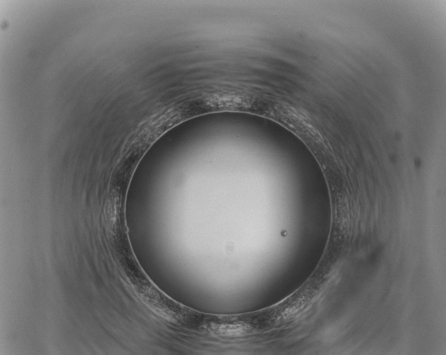 X0000064770645200602171826