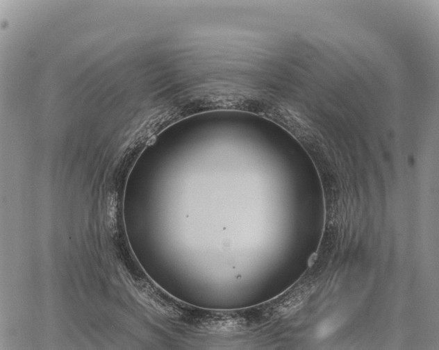 X0000064770646200602171826