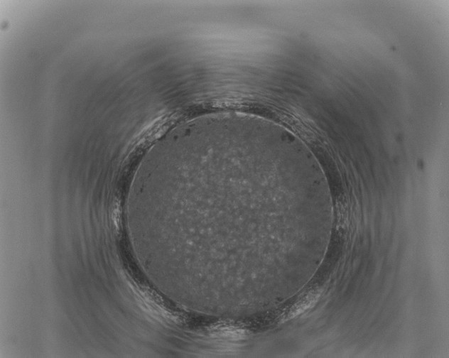 X0000064770648200602171826