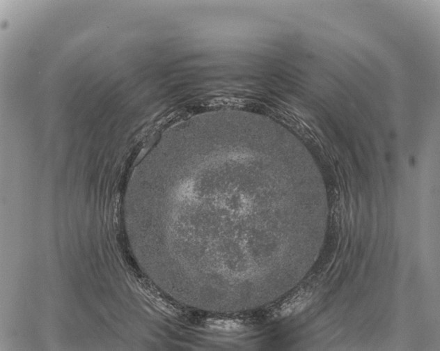 X0000064770649200602171826