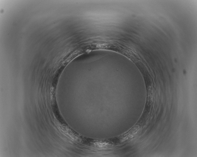 X0000064770650200602171826