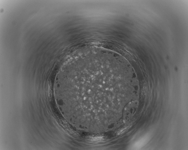 X0000064770651200602171826