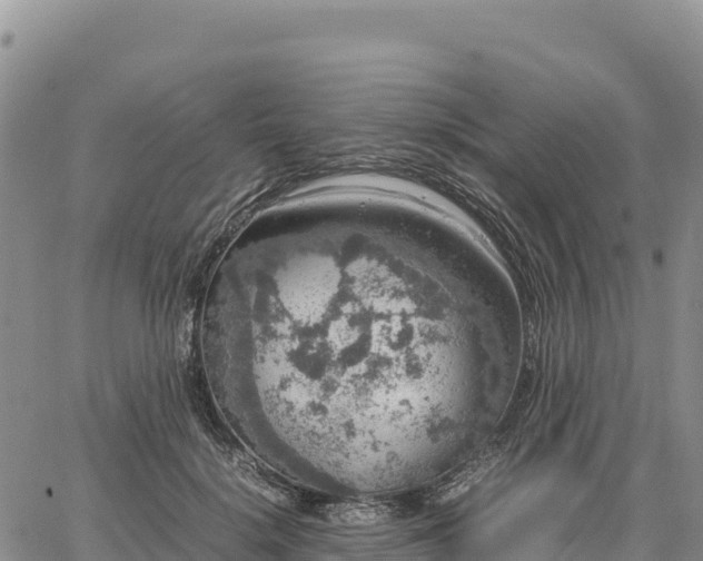 X0000064770652200602171826