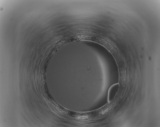 X0000064770653200602171826