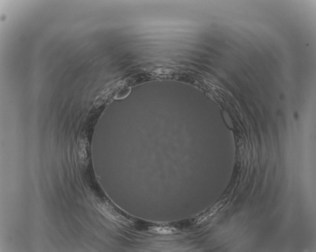 X0000064770654200602171826