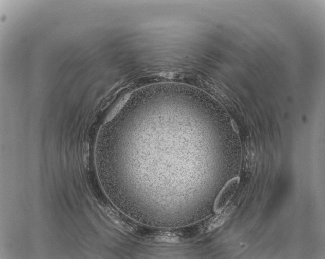 X0000064770656200602171826