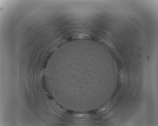 X0000064770657200602171826