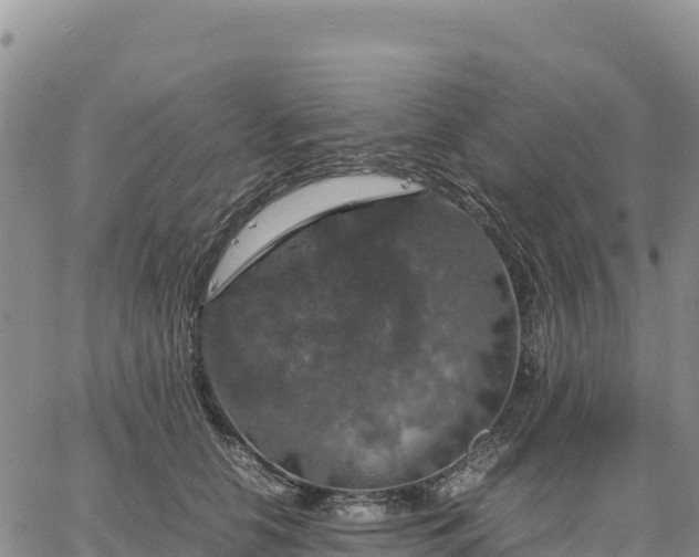 X0000064770658200602171826