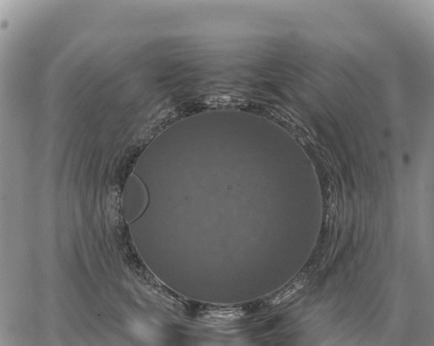 X0000064770659200602171826