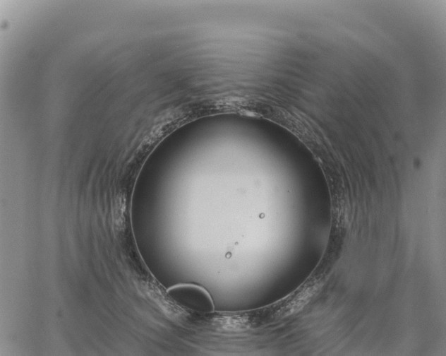 X0000064770660200602171826