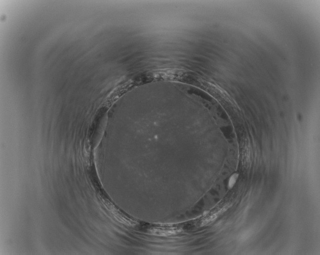 X0000064770661200602171826