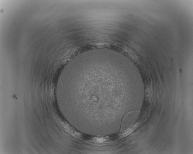 X0000064770662200602171826