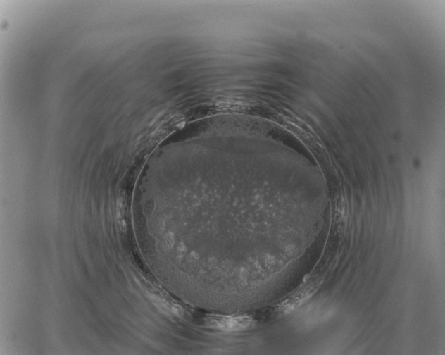 X0000064770663200602171826