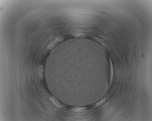 X0000064770664200602171826