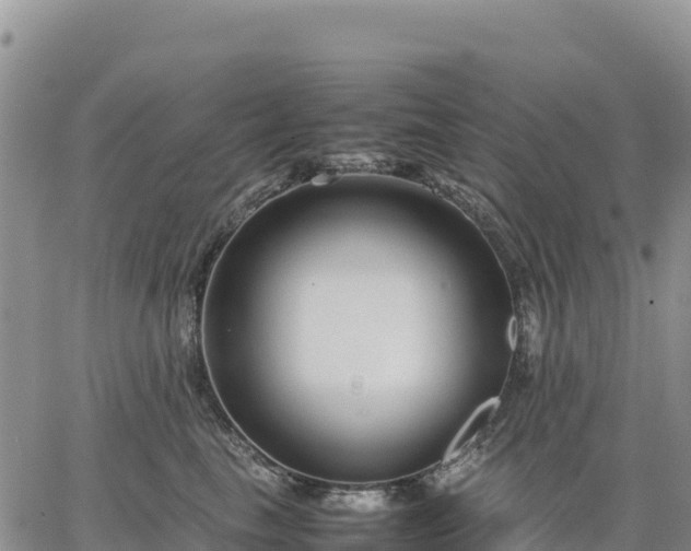 X0000064770665200602171826