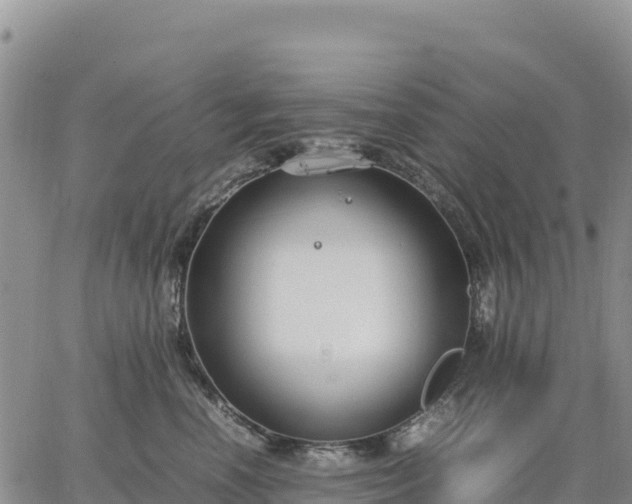 X0000064770666200602171826