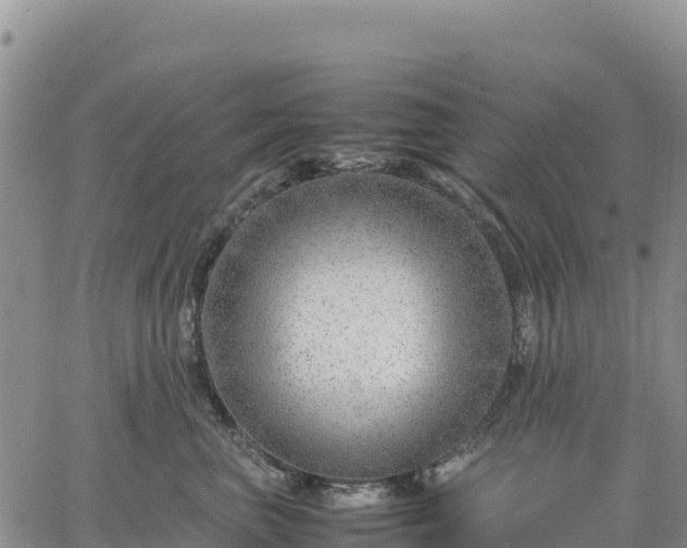 X0000064770667200602171826