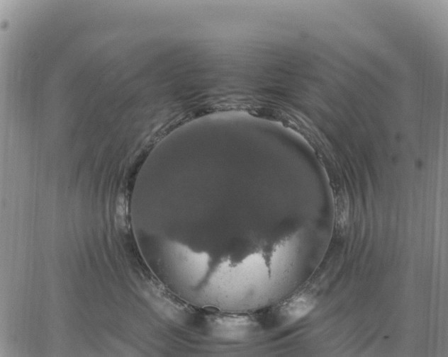 X0000064770669200602171826