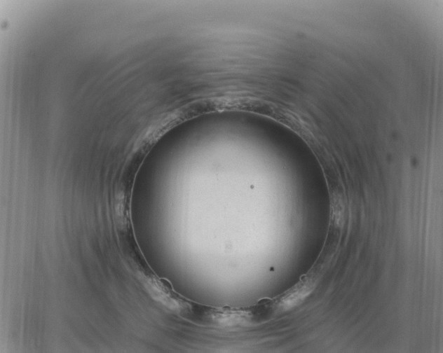 X0000064770670200602171826