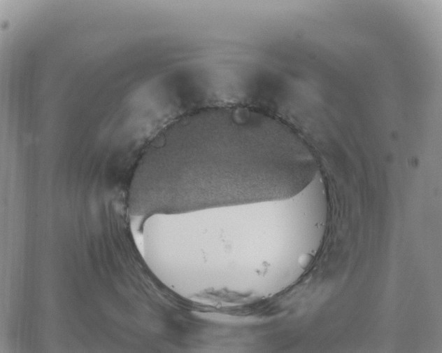 X0000064770672200602171826