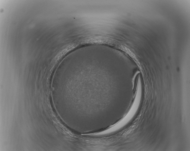 X0000064770673200602171825